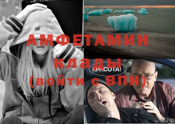 твердый Лиски
