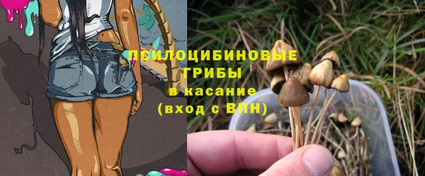твердый Лиски