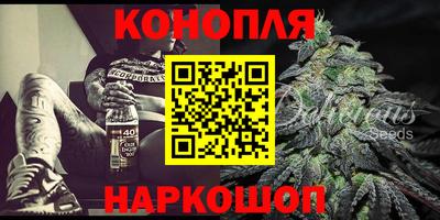крисы Гагарин