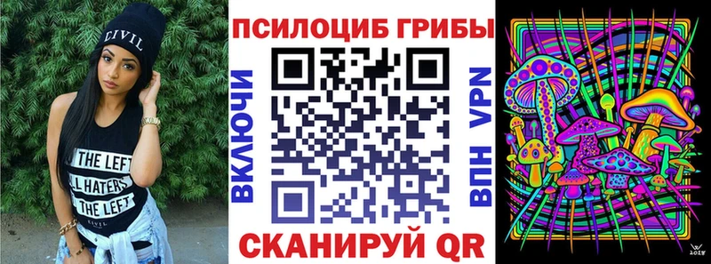 mega как зайти  Жуковский  Псилоцибиновые грибы ЛСД 