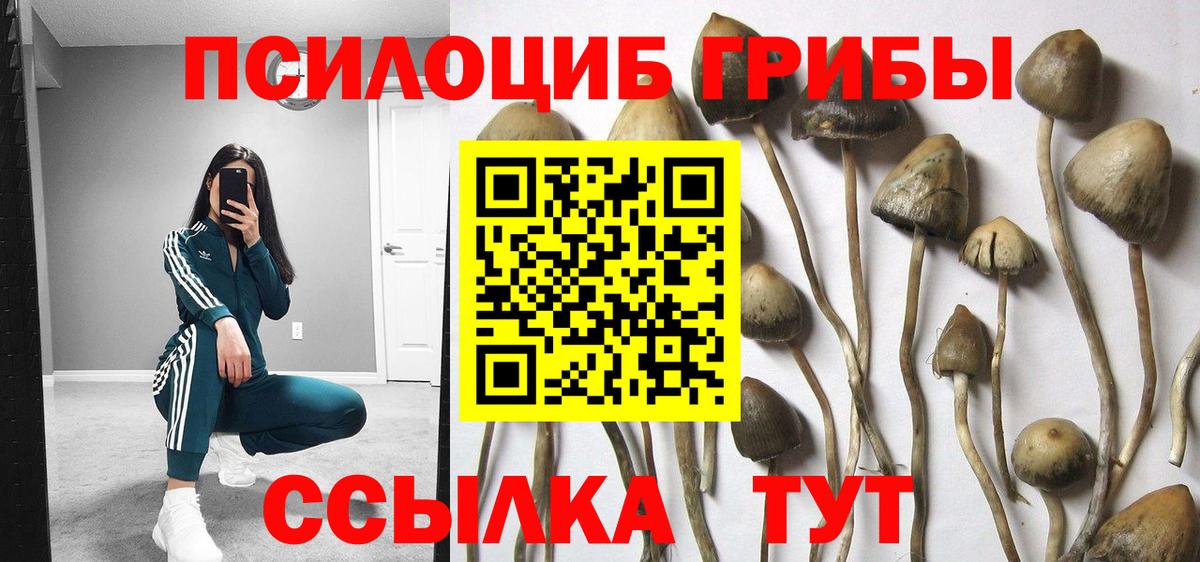 Галлюциногенные грибы Magic Shrooms Жуковский