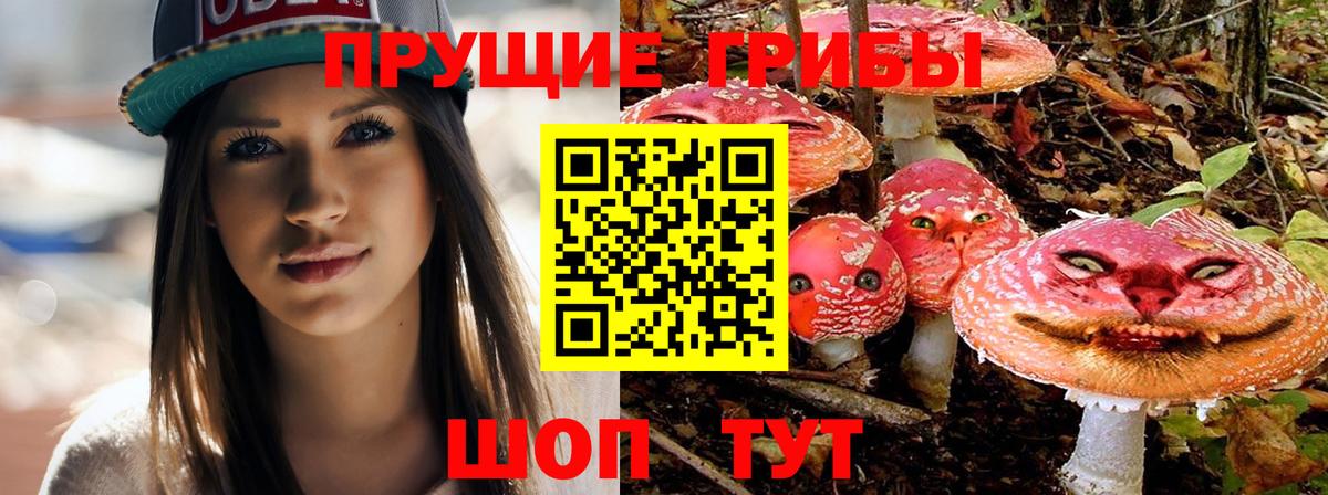 Псилоцибиновые грибы Psilocybe  Жуковский  Галлюциногенные грибы прущие грибы 