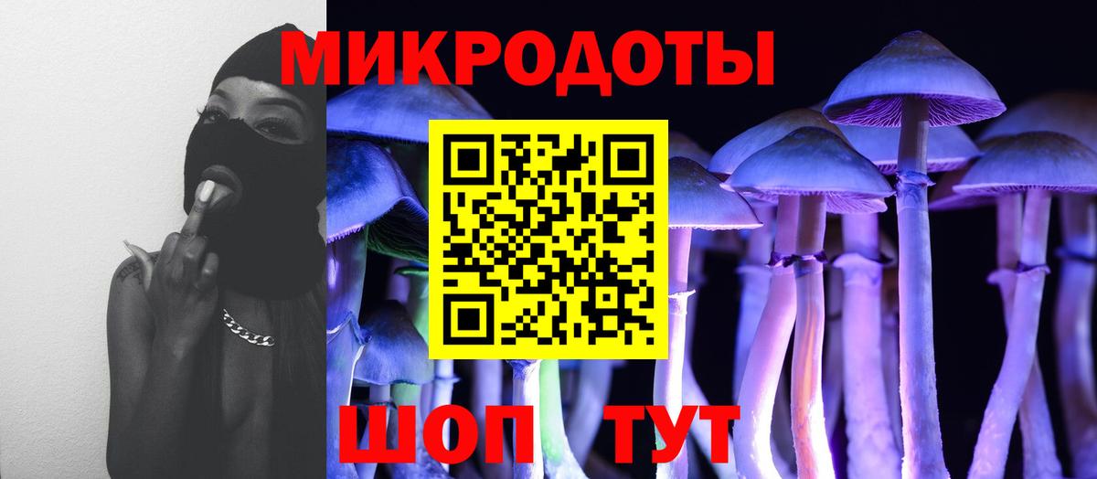 Псилоцибиновые грибы мицелий  купить наркоту  Жуковский  Вход с VPN 