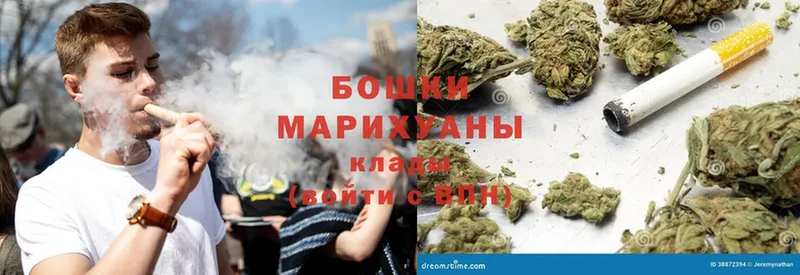 Конопля SATIVA & INDICA  Жуковский 